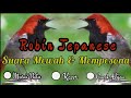 Suara Masteran Burung Luar Negeri Robin Jepang Suara Merdu Dan Mempesona Mp3 - Mp4 Download