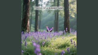 The Meadow Dreams