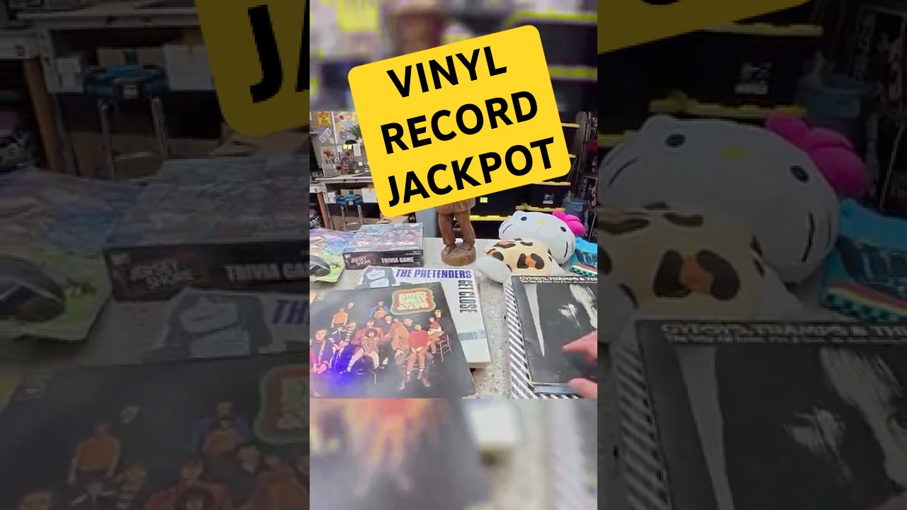 Vinyl Record Jackpot  Rare Finds for Just Pennies!