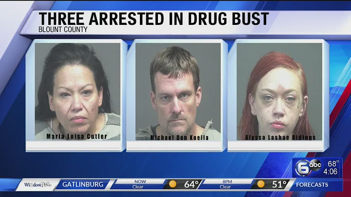 Three arrested in Blount County drug bust