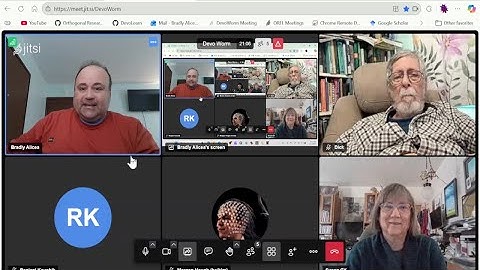 DevoWorm (2025, #41): Developmental Dynamics: cell differentiation and oscillatory entrainment.
