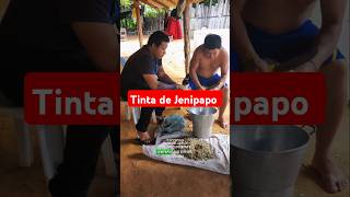 Veja Como Se Faz A Tinta Do Jenipapo