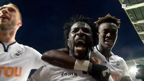 Wlfried Bony | Swansea, Vitesse, Côte d