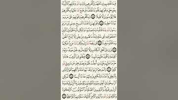 سورة النساء | قراءة من المصحف الشريف - الجزء 6 (من الآية 148 إلى 176)
