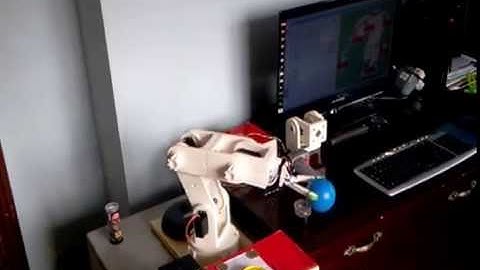 3D Printwiz Programmable Modular 6 DOF Robotic Arm (Accuracy Test)