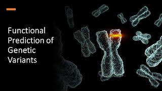 Functional Prediction of Genetic Variants