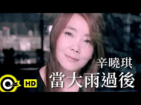 辛曉琪 Winnie Hsin【當大雨過後】Official Music Video