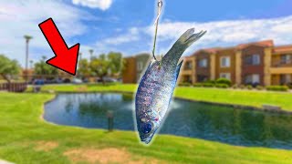 Fishing With LIVE BAIT At My APARTMENT COMPLEX