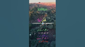 القرآن الكريم #foryou #اكسبلور #القزابري #shortvideo #ترند #المصحف #تيك_توك #short