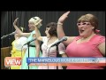 The Marvelous Wonderettes