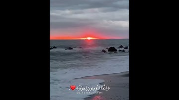 القران الكريم 225