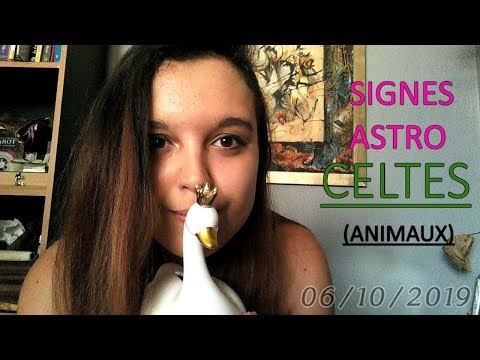 Vidéo: Horoscope Celtique Des Animaux : Cygne