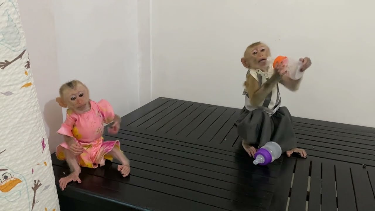 Jasmine So Anqrri With Jueur Two Bottle Drink A Lone