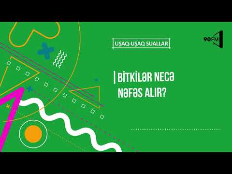 Video: Bitkilər Necə Nəfəs Alır