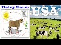 Dairy Farm in America: Heat stress management