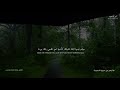 ماتيسر من سورة القمر بصوت القارئ محمد هشام محسن 