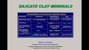 SILICATE CLAY MINERALS BY DR.P.C.PATEL