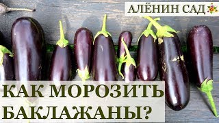 ПРАВИЛЬНАЯ заморозка баклажанов / Заготовки на зиму ПРАВИЛЬНАЯ заморозка баклажанов / Заготовки на зиму
