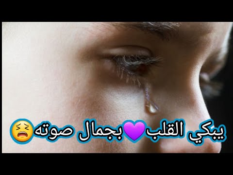 سورة المنافقون كامله شريف مصطفى بكى و أبكاء العالم معه