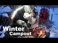 Bushcraft Shelter Overnight with my Dog & Cat~ Campfire Cooking