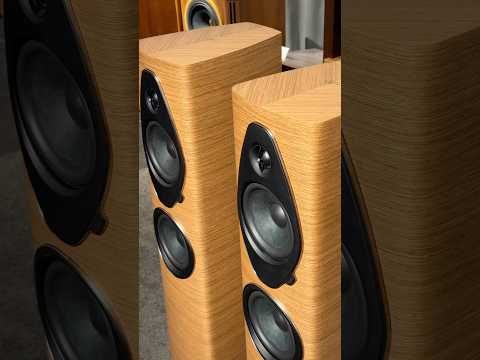 Sonus faber Sonetto