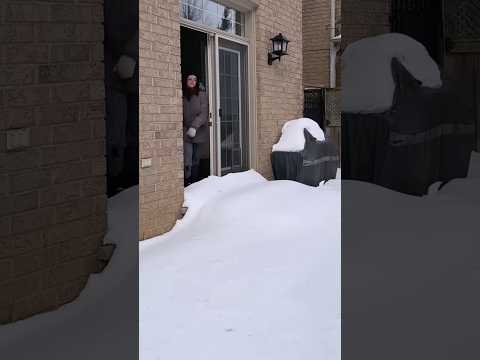 The happiness after the snowstorm #satisfyling #asmr #snow #ice #fyp #fypシ #oddlysatisfying
