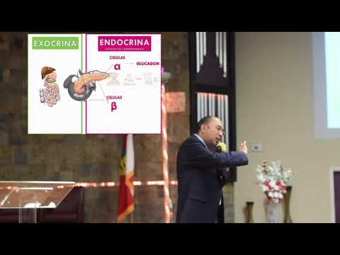 La diabetes, una enfermedad reversible  Dr. Juan Ramirez