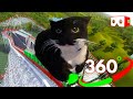 🔴VR 360° Maxwell the cat on a roller coaster