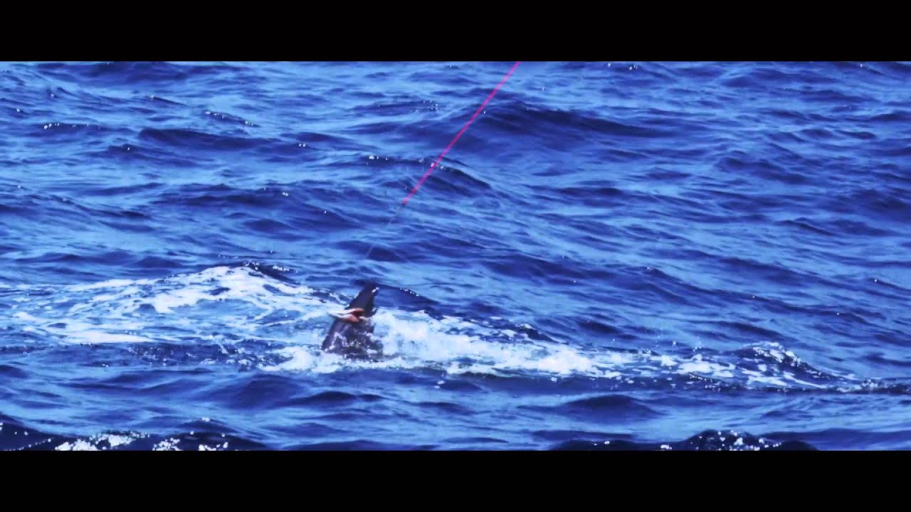 ONE MORE PROGRAM - YouTube