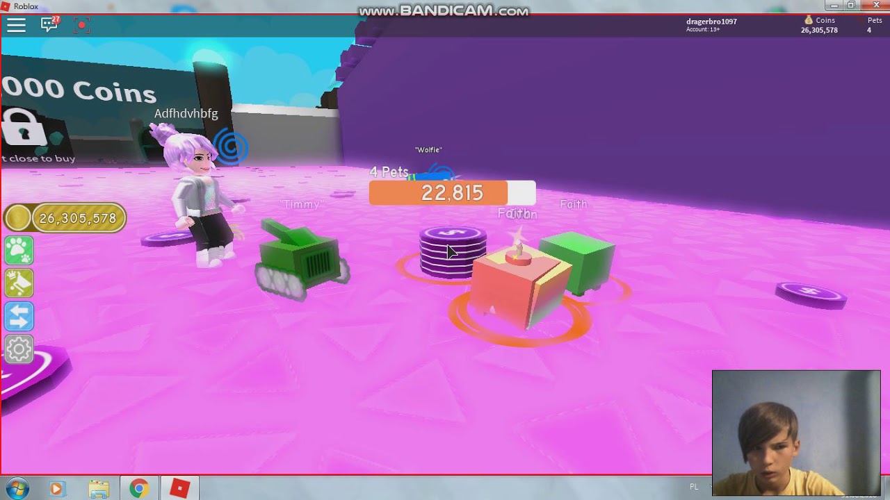 Петы роблокс пет симулятор. Коды в игре пет симулятор в роблоксе. Пет симулятор икс. Петы в пет симулятор x скрин. Пет симулятор инвентарь.
