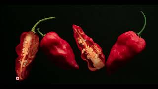 McDonald's McSpicy Fried Chicken | McDonald's India (Tamil)