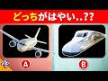 【全35問のスピード比較クイズ】どっちがはやいかわかるかな？