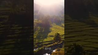 Beautiful places in Indonesia ?? shorts travel edit indonesia