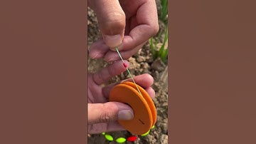 CÂU CÁ DỄ DÀNG với Mua Phao HẠT Dây Trục Sẵn Tự Cân Câu Cá Chép Siêu Nhạy #fishing #shorts