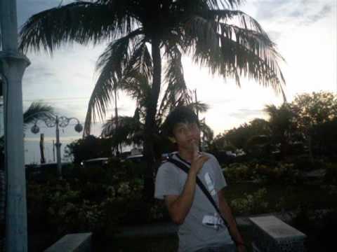 AOP - BODOHNYA DIRIKU