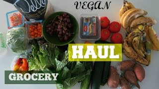 VEGAN GROCERY HAUL // Boy's & Costco in FLORIDA