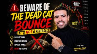 ⚠️ Beware of the Dead Cat Bounce | The Trap That Destroys Traders