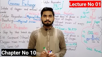 Gaseous Exchange Class 10 || Lecture No 01 || Chapter No 10 || Class 10 Biology Lectures Series