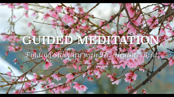 Guided Meditation on Finding Stability with Dr. He...