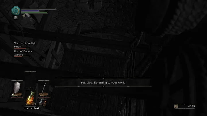 DARK SOULS III_Elevator fun