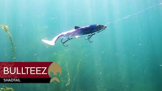 Bullteez Shadtail - Westin-Fishing