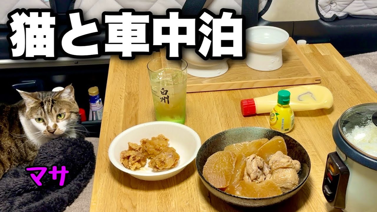 自作キャンピングカーをシートカバーで模様替えしたら、車内がおしゃれな猫カフェになりました！｜猫とハイエースで車中泊＆車中飯