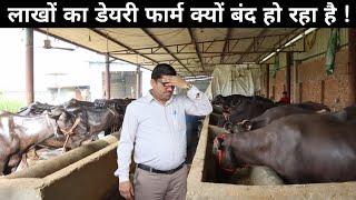 50 - 60 हजार महीने की कमाई के बाद भी क्यों बंद हो रहा है ये Buffalo Dairy Farm | Murrah Buffalo