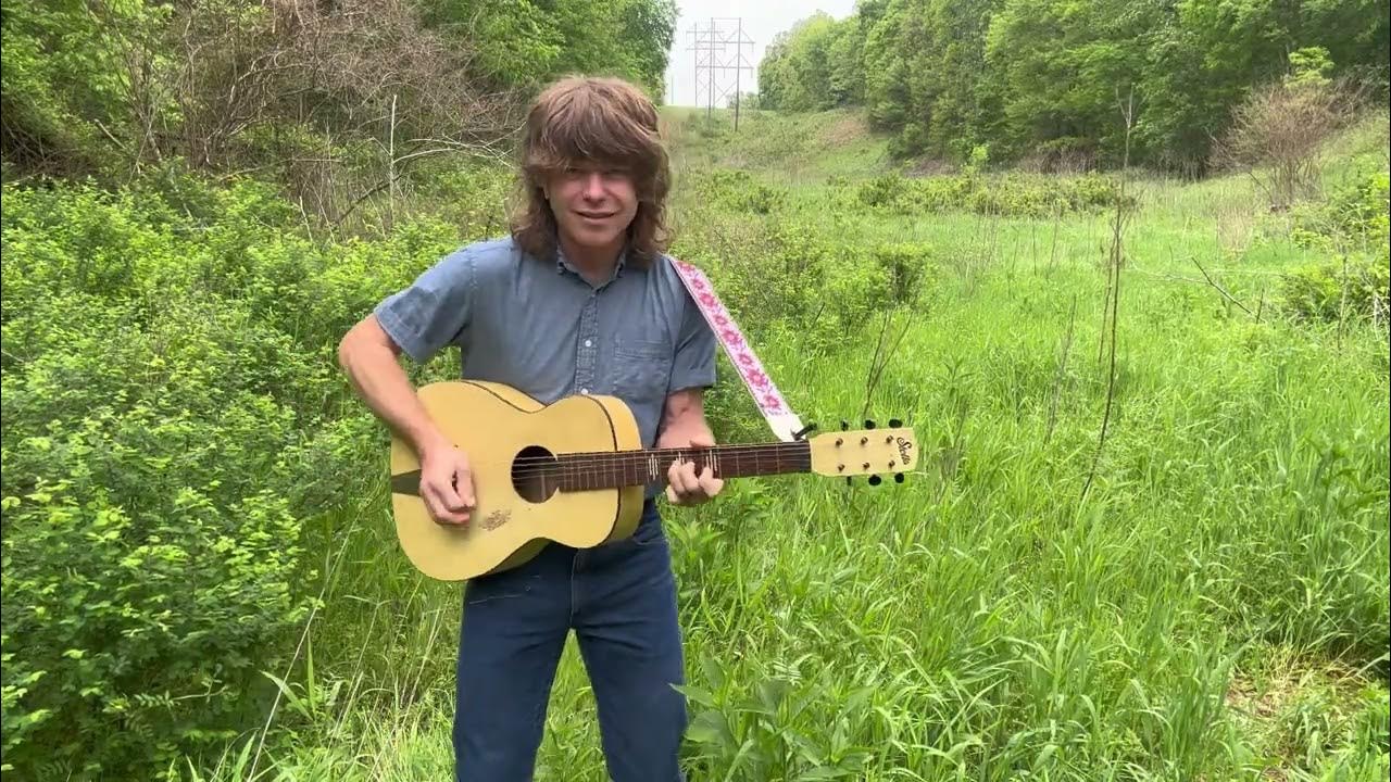 Guitars Guitars