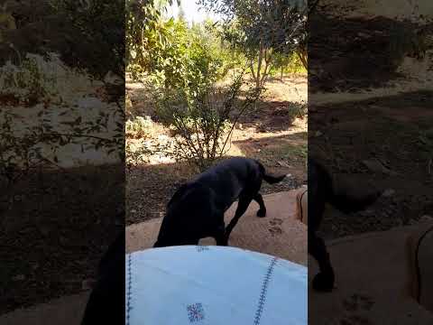 كوسمو حشم ههههههه