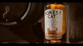 Обзор виски.FOREST CAT 5 years.Blended scotch whisky.Форест кэт 5 летний.Шотландский виски.