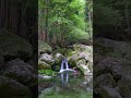 【自然の音 - 3min】源流にある小さな滝