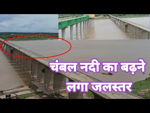 चंबल नदी का बढ़ने लगा जलस्तर ! dholpur Chambal Prabha 21/07/22 चम्बल प्रभा धौलपुर