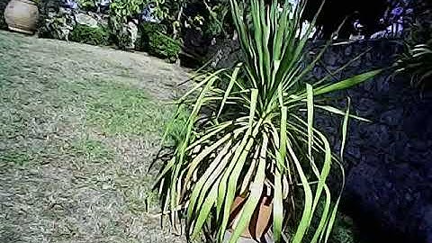 Long Range Fpv Drone - Mjx Bugs 2W B2w Long Range Fpv Drone Test Flight Review