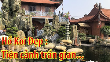 Hồ cá Koi Đẹp: Ngắm tiên cảnh trốn trần gian...